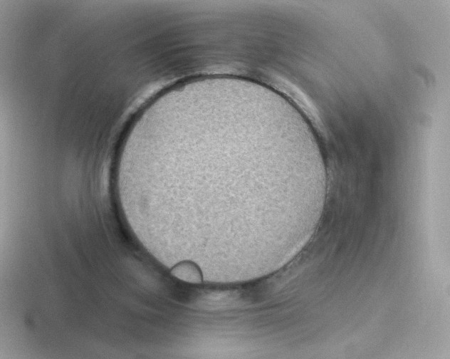 X0000116590155201001071240