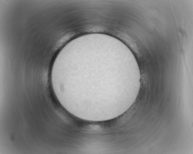 X0000116590159201001071240