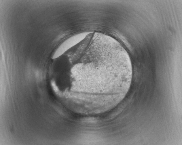 X0000116590161201001071241