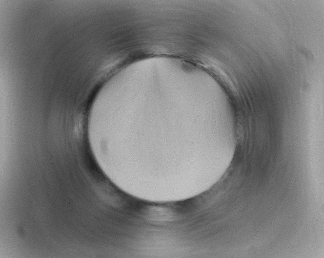 X0000116590167201001071241