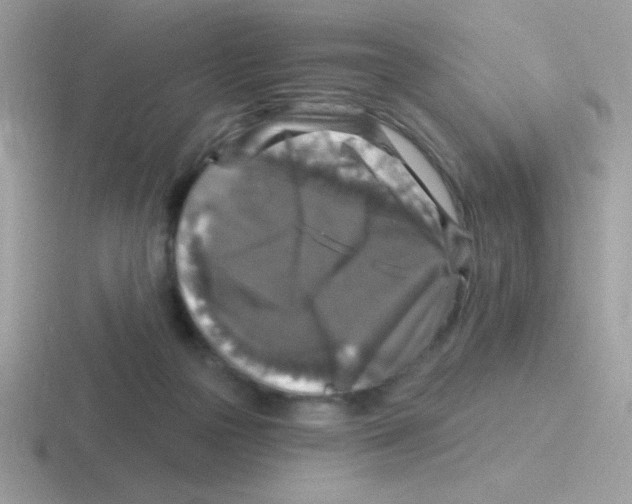 X0000116590169201001071241