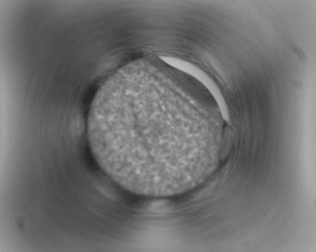 X0000116590173201001071241