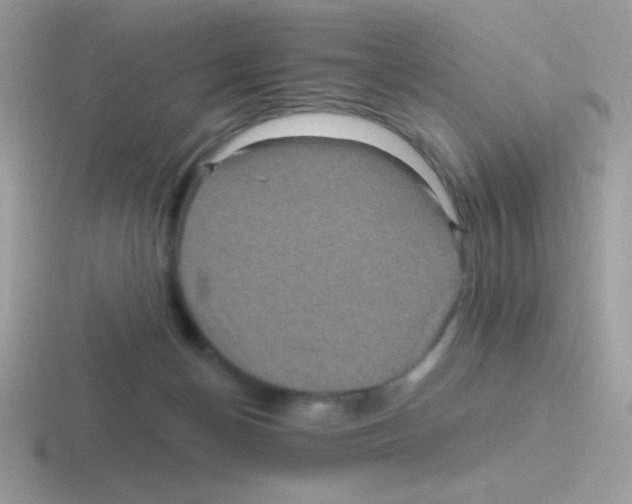 X0000116590174201001071241