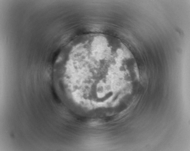 X0000116590175201001071241