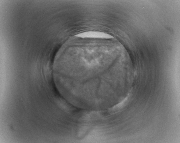 X0000116590186201001071241