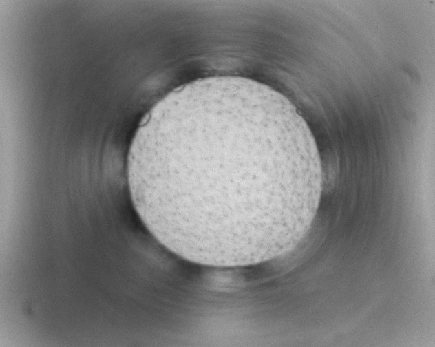 X0000116590187201001071241