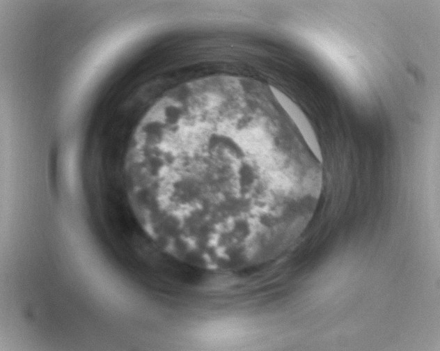 X0000116590189201001071241