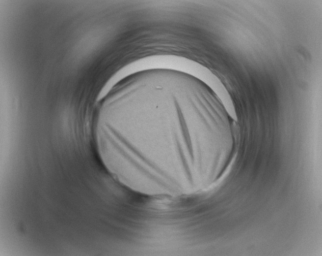 X0000116590190201001071241