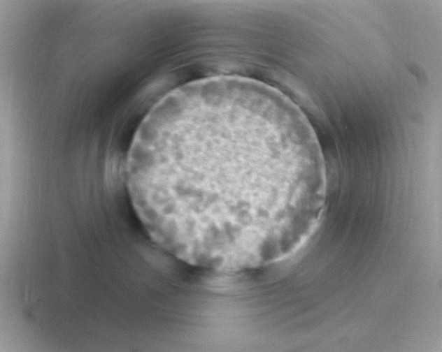 X0000116590191201001071241