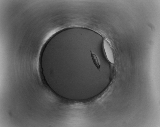 X0000116590196201001071240