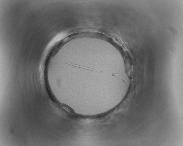 X0000116590197201001071240