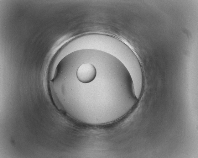 X0000116590199201001071240