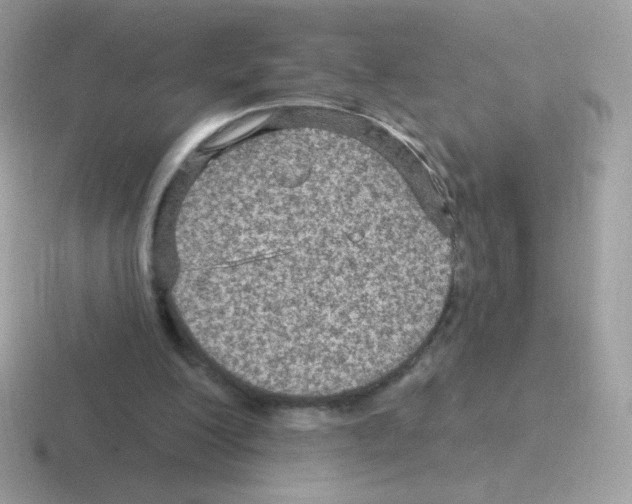 X0000116590200201001071240