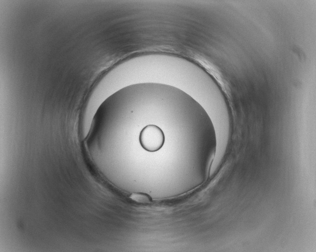 X0000116590201201001071240