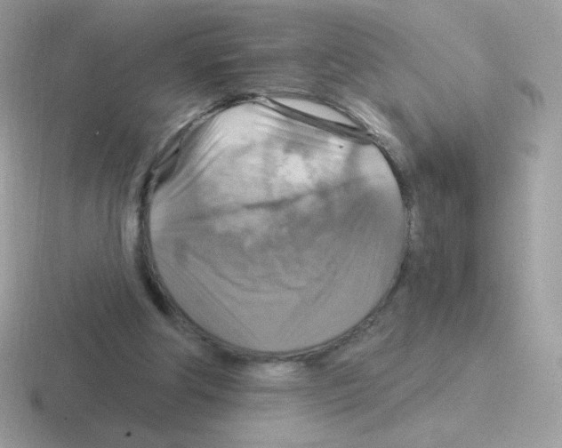 X0000116590202201001071240