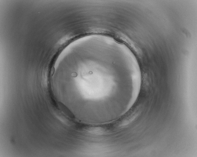 X0000116590203201001071240