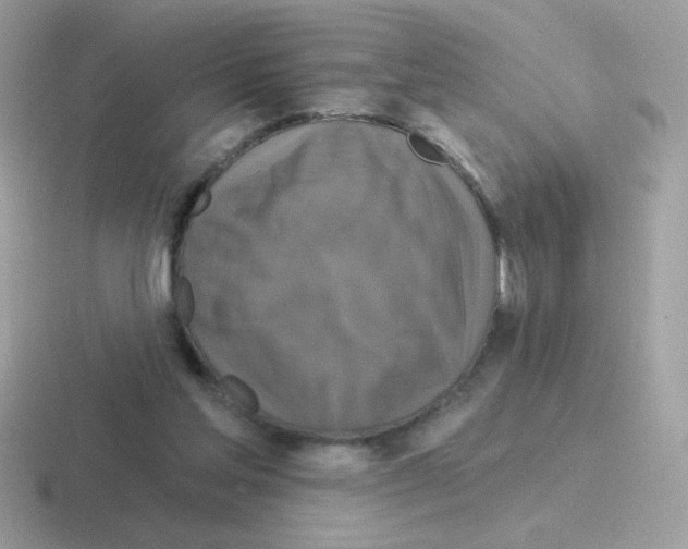 X0000116590205201001071240