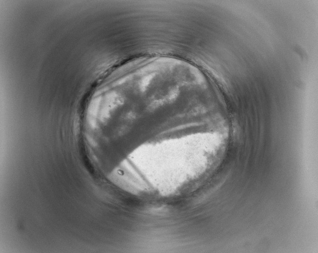 X0000116590206201001071240