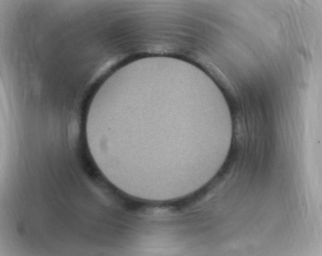 X0000116590208201001071240