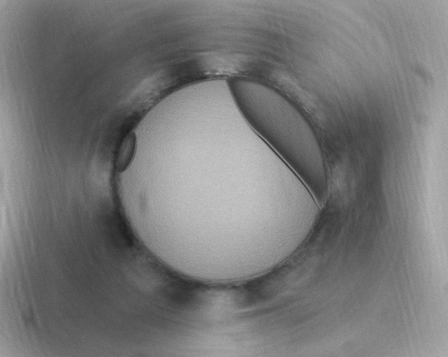 X0000116590209201001071240