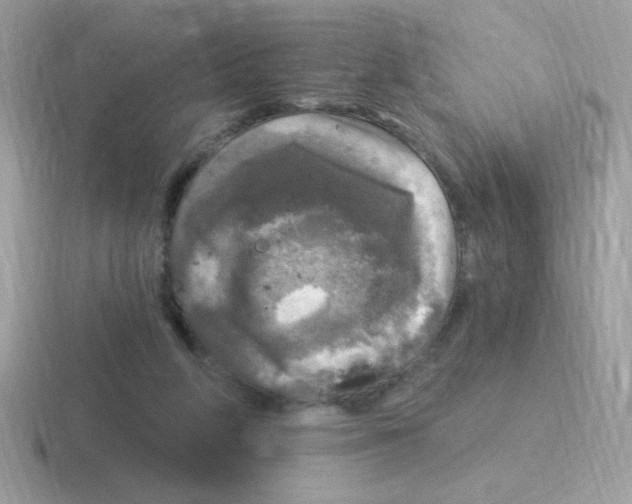 X0000116590210201001071240