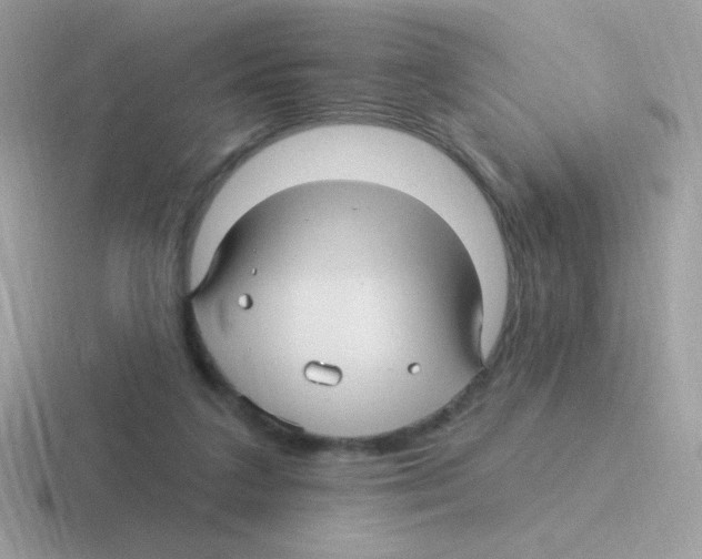 X0000116590211201001071240