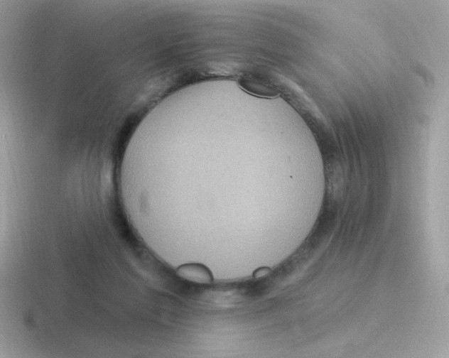 X0000116590213201001071240