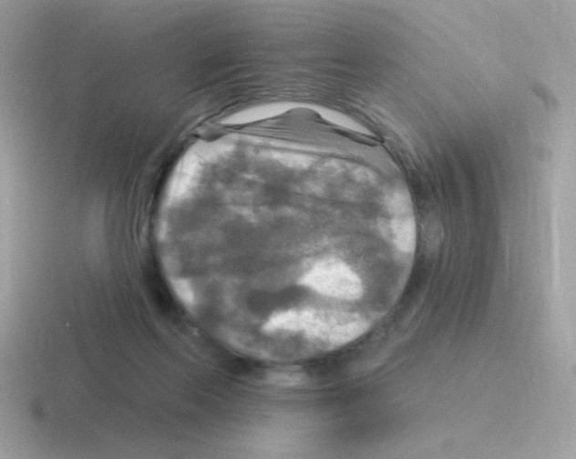 X0000116590214201001071240