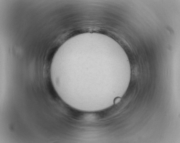 X0000116590218201001071240