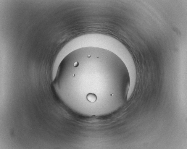 X0000116590219201001071240