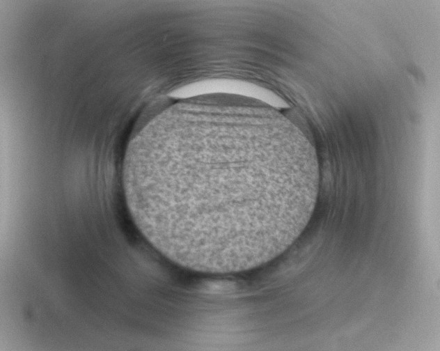 X0000116590220201001071240