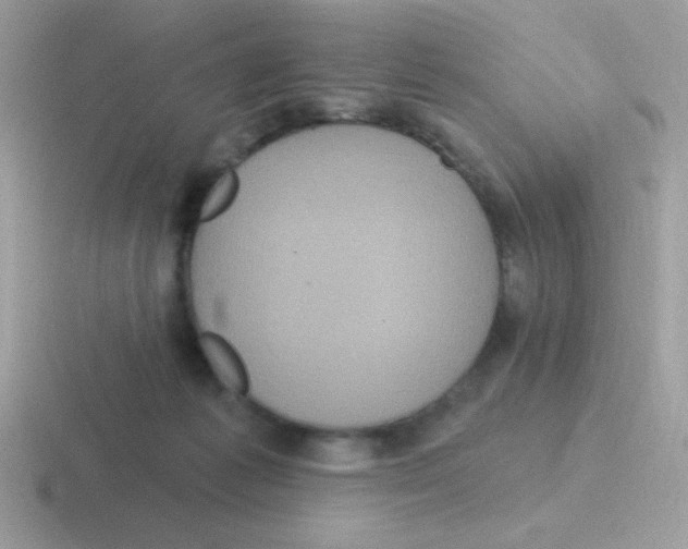 X0000116590221201001071240