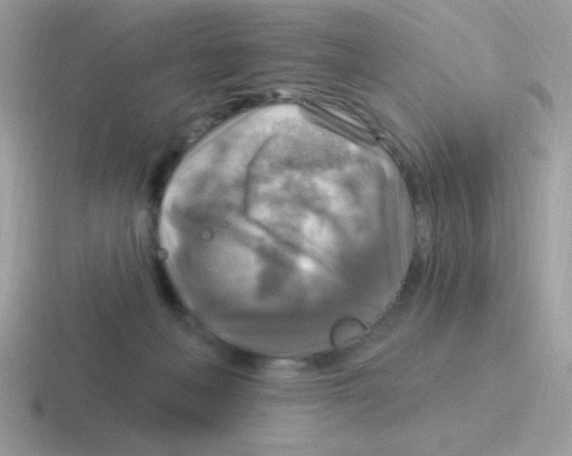 X0000116590222201001071240