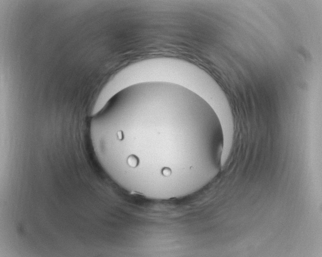 X0000116590223201001071240