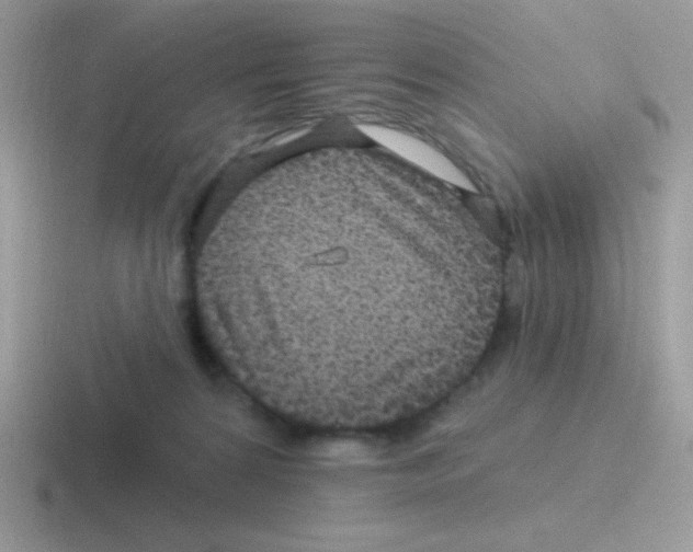 X0000116590224201001071240