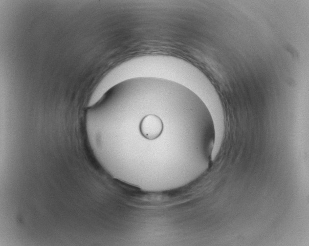 X0000116590225201001071240