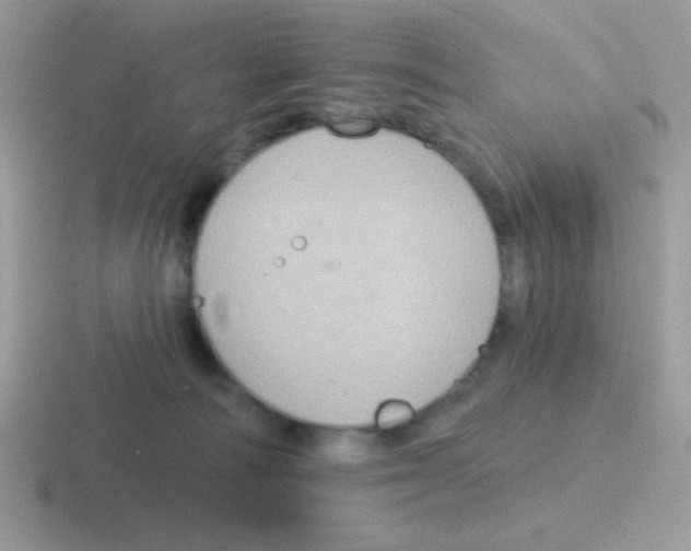 X0000116590226201001071240