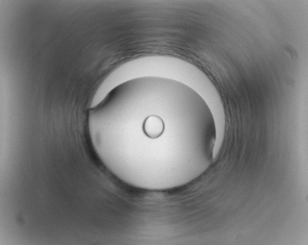 X0000116590227201001071240