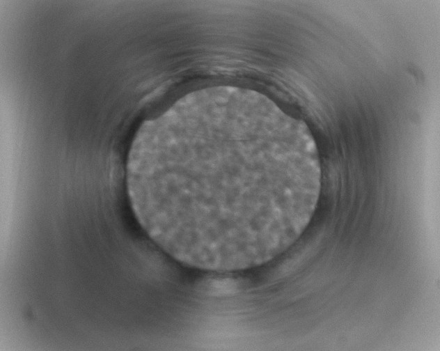 X0000116590228201001071240