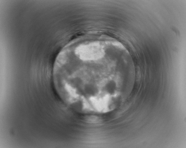 X0000116590230201001071240