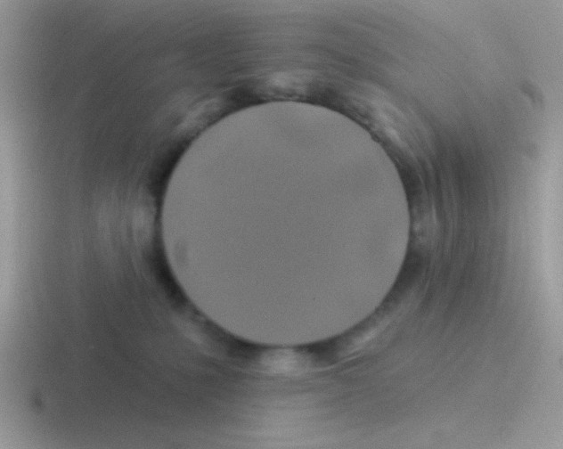 X0000116590231201001071240