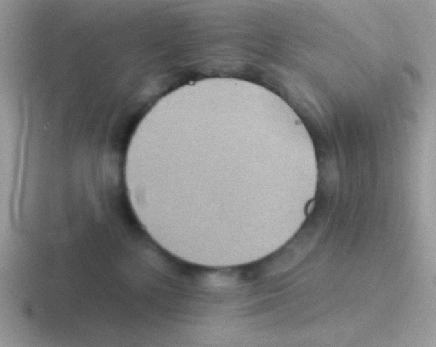 X0000116590232201001071240