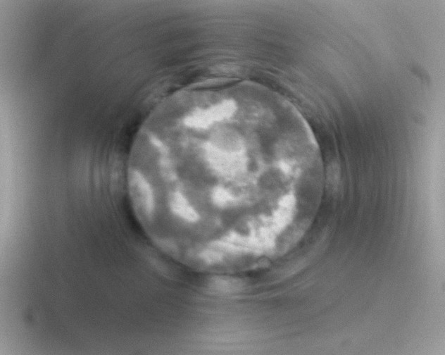 X0000116590234201001071240