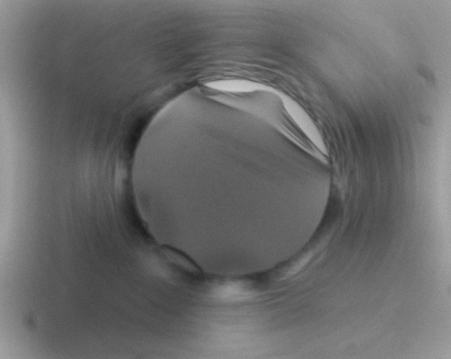 X0000116590235201001071240