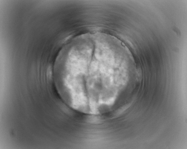 X0000116590238201001071240