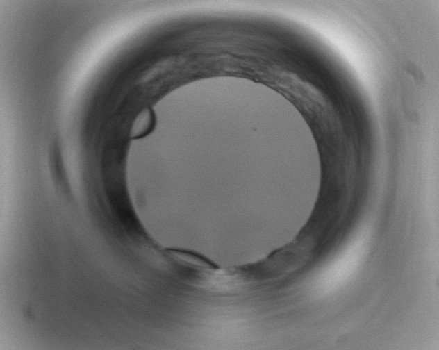 X0000116590239201001071240