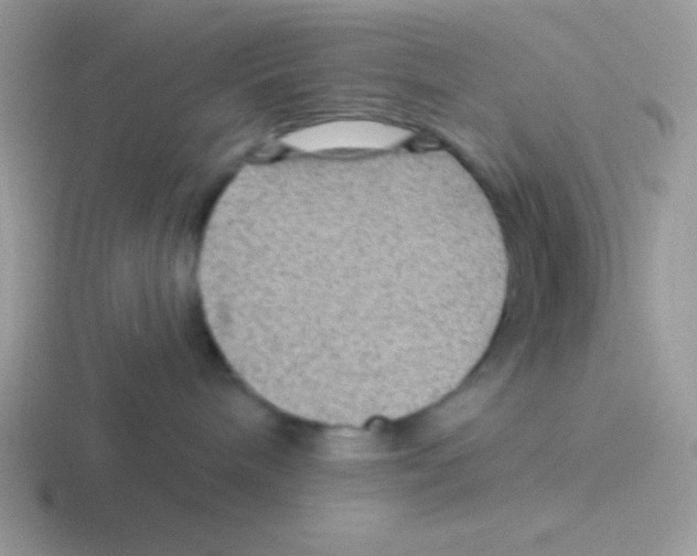 X0000116590240201001071240