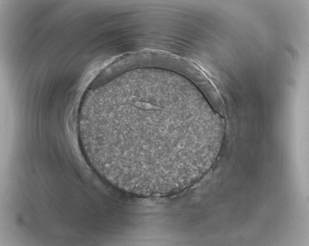 X0000116590241201001071239