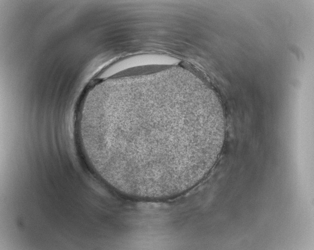 X0000116590242201001071239