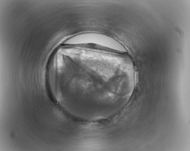 X0000116590243201001071239